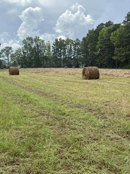 Tif-Quik Hay Bales