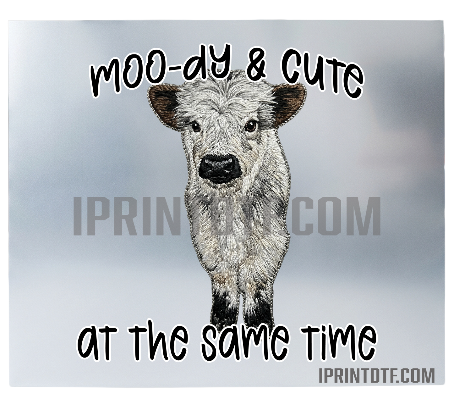 Cute Cow DTF Print (Physical Product) Print 12 inch