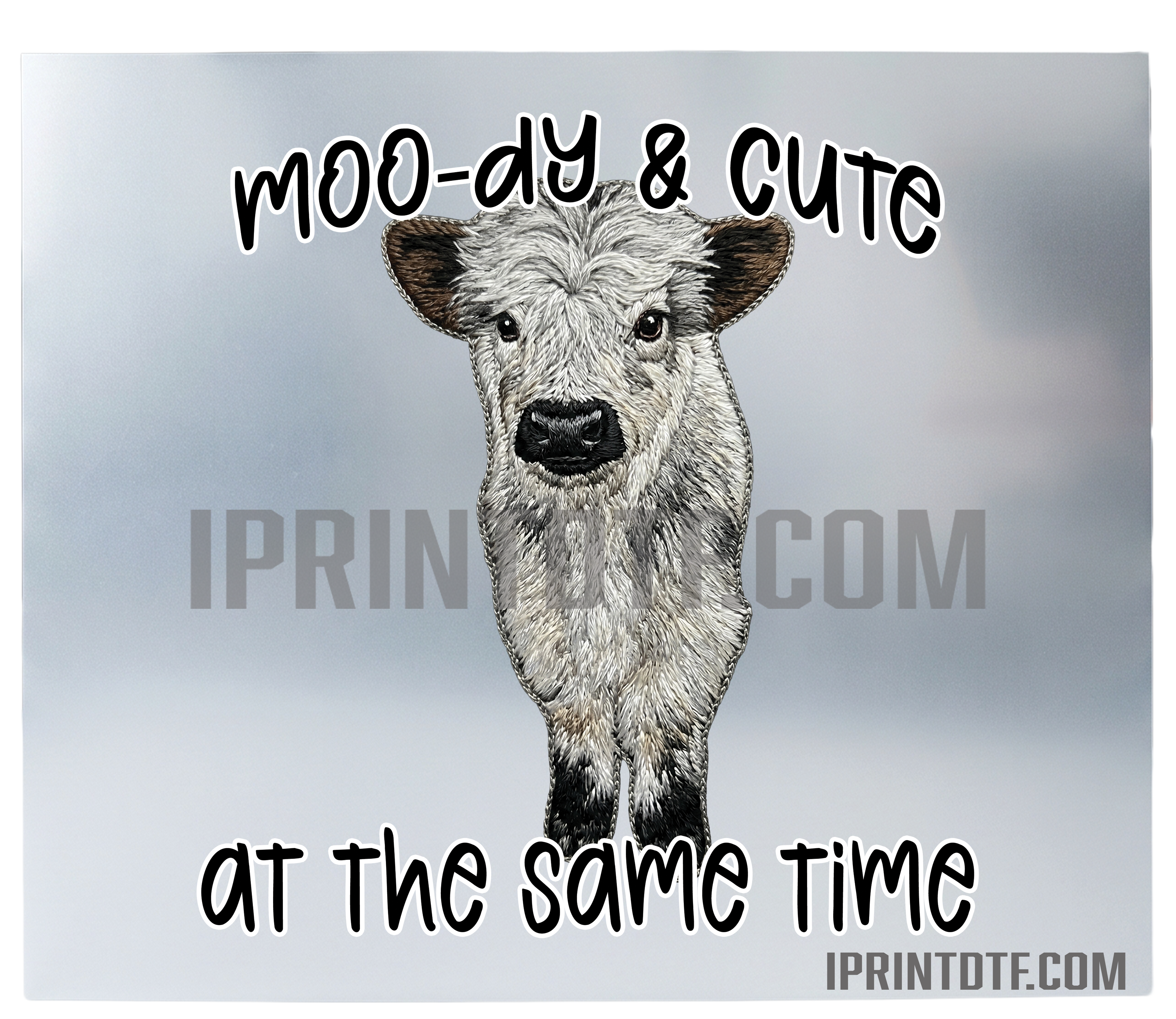 Cute Cow DTF Print (Physical Product) Print 12 inch