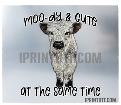 Cute Cow DTF Print (Physical Product) Print 12 inch